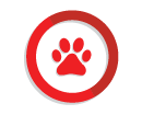 Pet Products