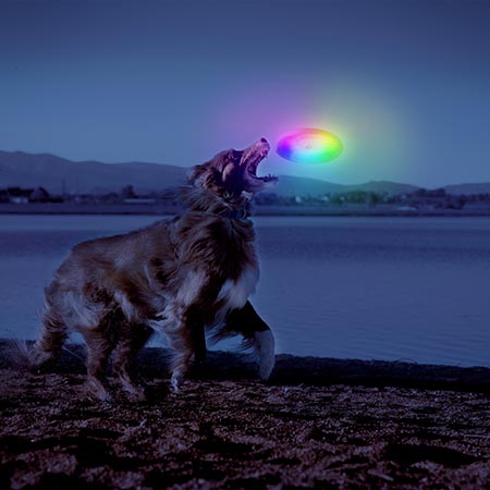 Niteize Flashflight® Dog Discuit™ LED Flying Disc - Disc-O