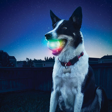 [GSB-07-R7] NiteIze GlowStreak LED Ball Disc-O