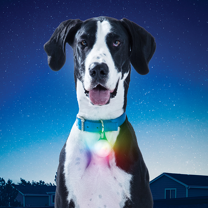 NiteIze SpotLit® XL Rechargeable Collar Light - Disc-O Select™