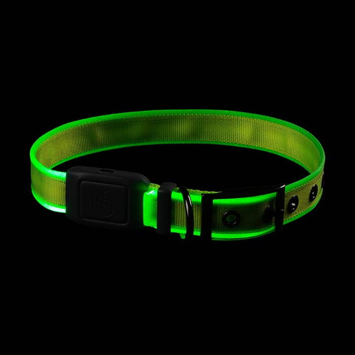 Niteize NiteDog Rechargeable LED Collar Medium